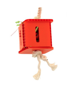 Foraging Cube - Hanging Parrot Toy - Small